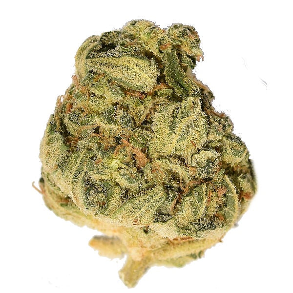 Buy Big Head Seeds Bruce Banner Cannabis Seeds UK