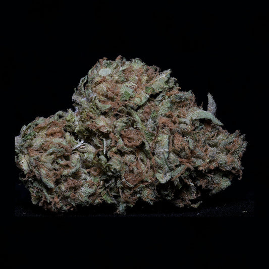 Buy Big Head Seeds Zkittlez Cannabis Seeds UK