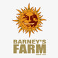 Barneys Farm Banana Punch Cannabis Seeds Pack of 10 UK