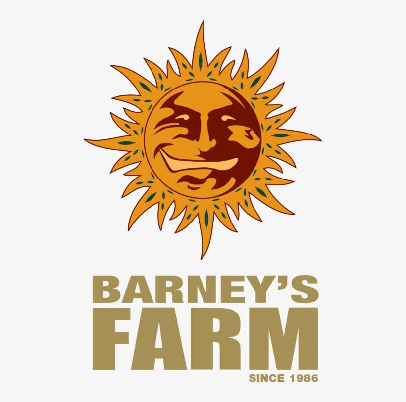 Barneys Farm Banana Punch Cannabis Seeds Pack of 10 UK