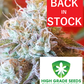 Buy Strawberry Stardawg Cannabis Seeds UK