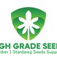 Buy High Grade Strawberry Stardawg Cannabis Seeds UK