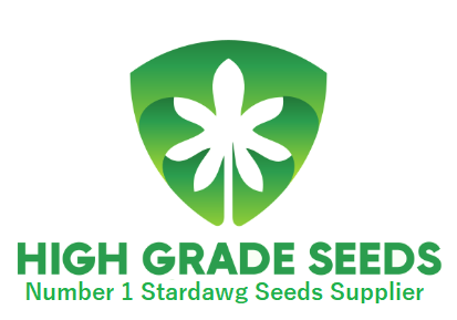 Buy High Grade Strawberry Stardawg Cannabis Seeds UK
