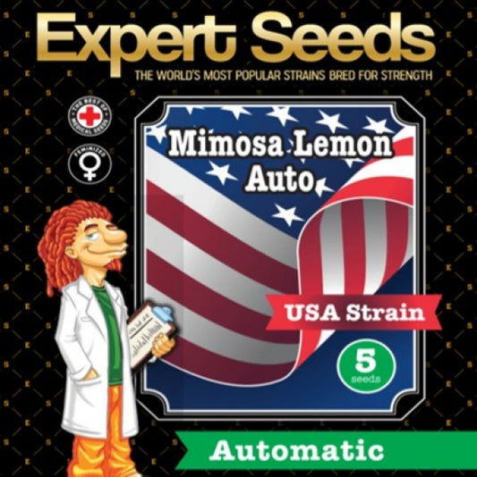 Buy Mimosa Lemon Auto Feminised (Expert Seeds) UK