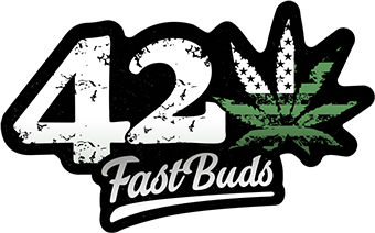 Buy Fast Buds Stardawg Cannabis Seeds Pack of 1 UK