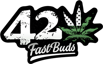 Buy Fast Buds Cannabis Seeds in Manchester