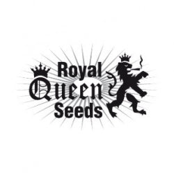 Buy Royal Queen Seeds Cannabis Seeds Best Prices UK