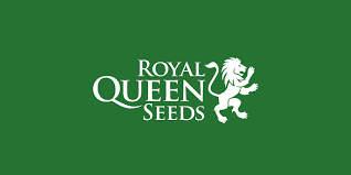 Royal Queen Seeds