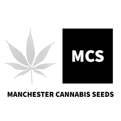 Buy Cannabis Seeds Best Prices UK