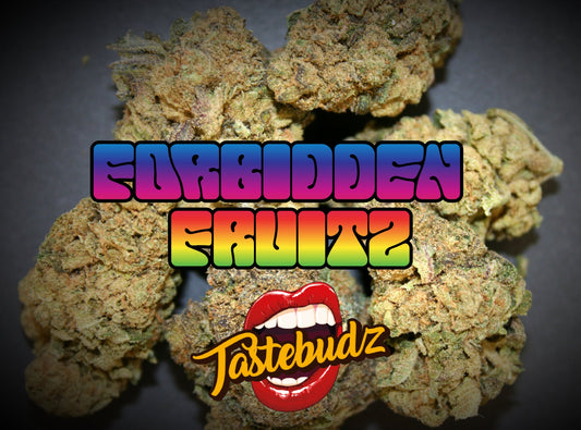 Buy Tastebudz Forbidden Fruitz Autoflower Cannabis Seeds UK