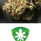 Buy Feminised Stardawg Cannabis Seeds UK